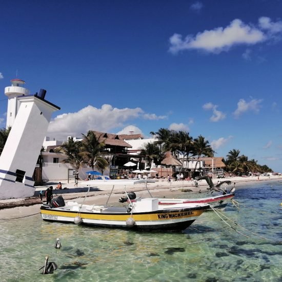 IMG_20220115_141217-1-scaled