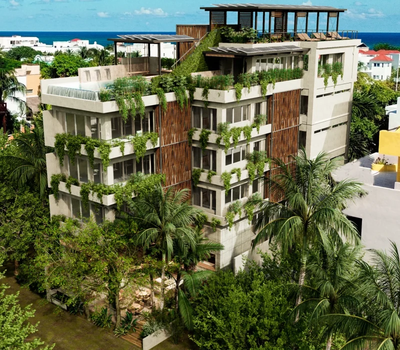 Mangroovy Aerial View