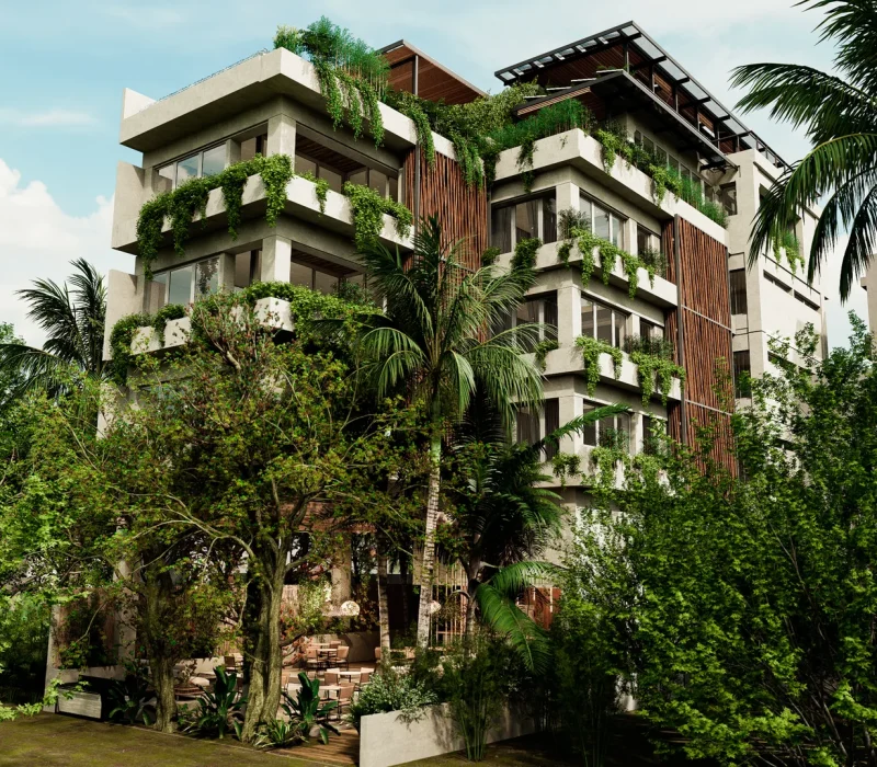 Mangroovy Street View